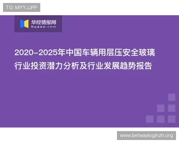 德赢旗舰网站安全保障措施详解保障玩家账号资金安全的最佳实践